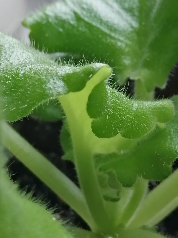 Фотография автора Татьяна Савранчук