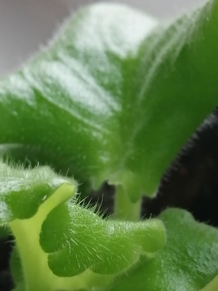 Фотография автора Татьяна Савранчук