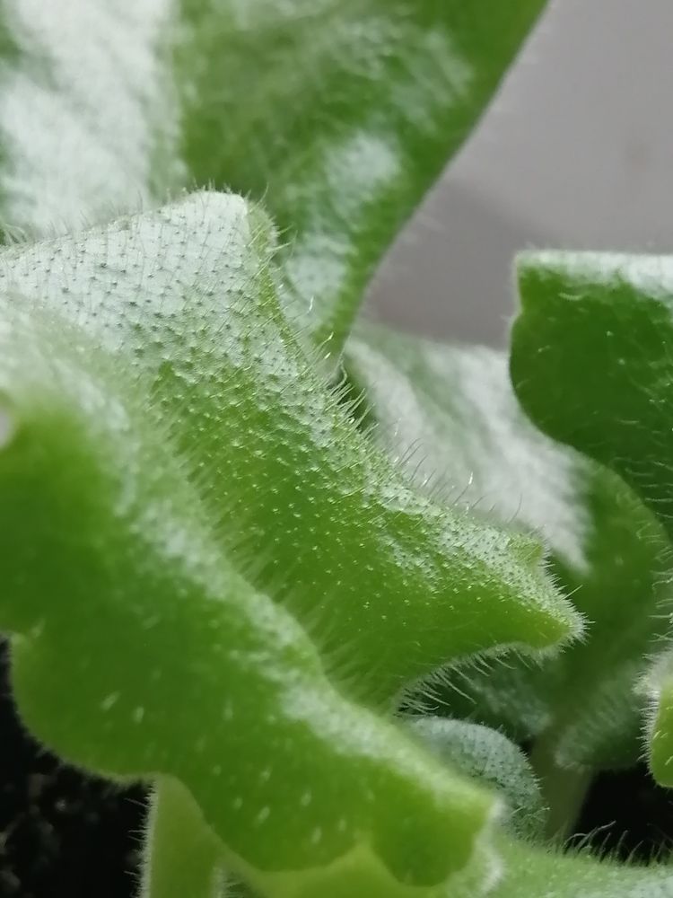 Фотография автора Татьяна Савранчук