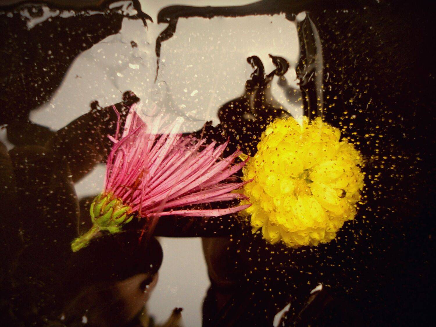 Photo #9638888