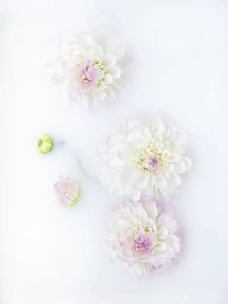 Photograph by Светлана Кавказская