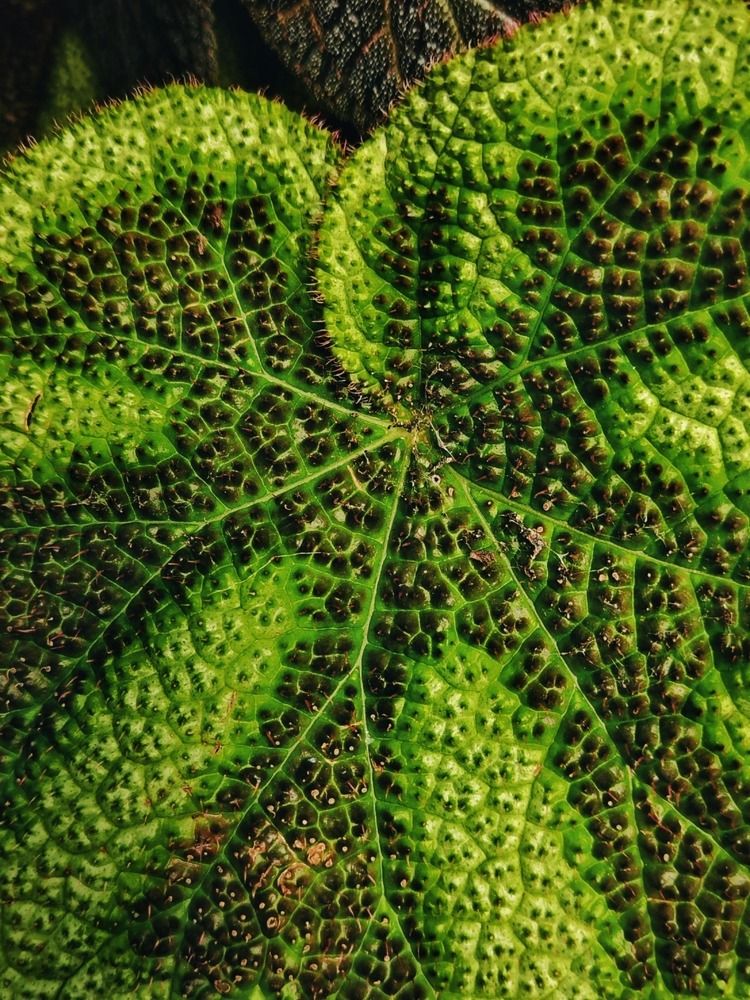 Фотография автора Julie Mishka