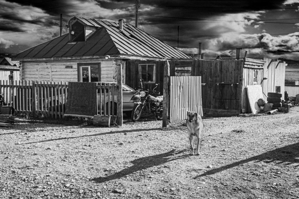 Фотография автора Андрей Шитиков