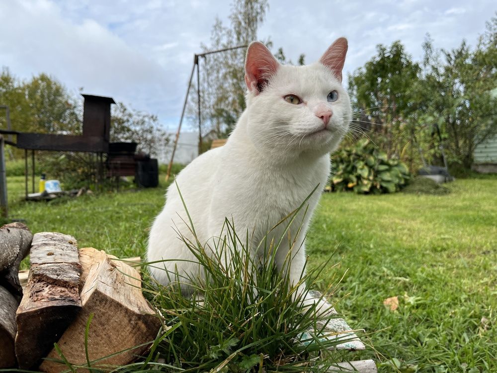 Photograph by Болдырева Ольга