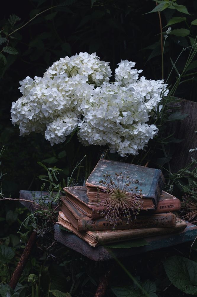 Фотография автора OXANA MARSOVA