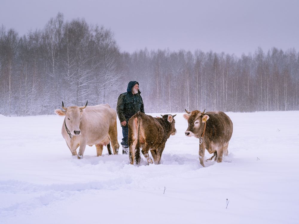 Зимний променад.