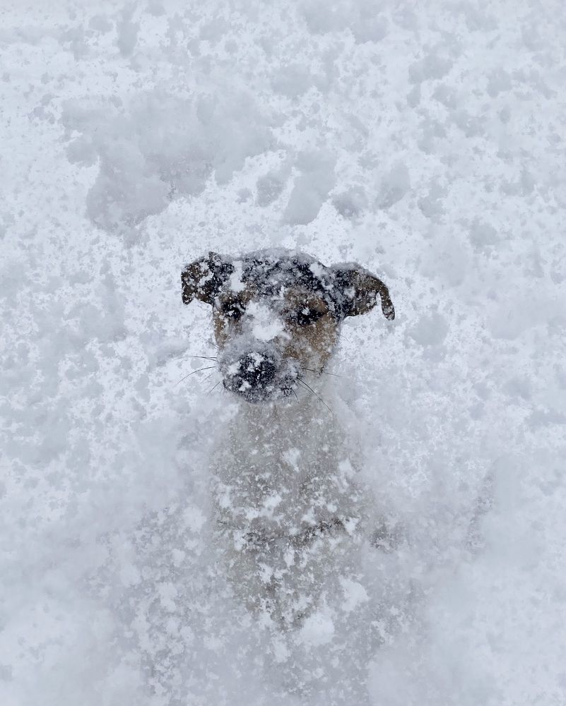 Photograph by Евгения Казакова