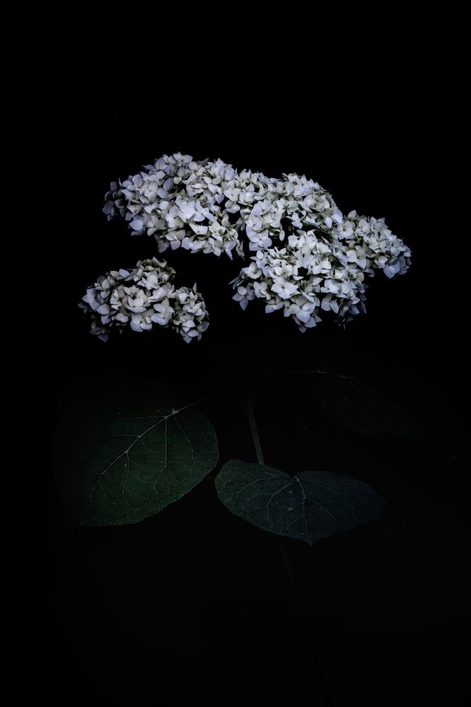 Фотография автора OXANA MARSOVA