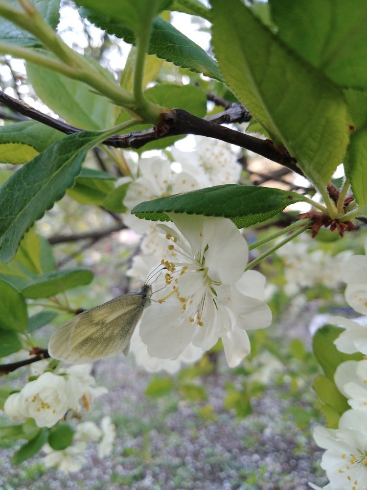 Photograph by Янина Милош