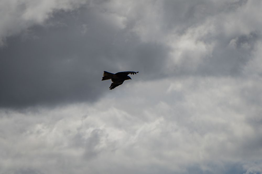 Фотография автора Андрей Шитиков