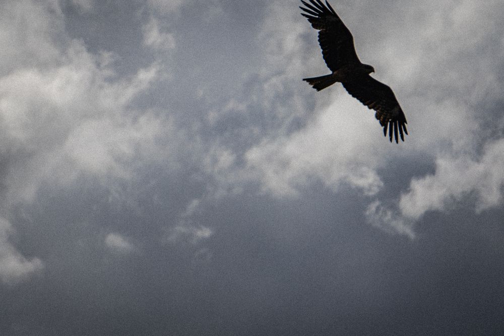 Фотография автора Андрей Шитиков