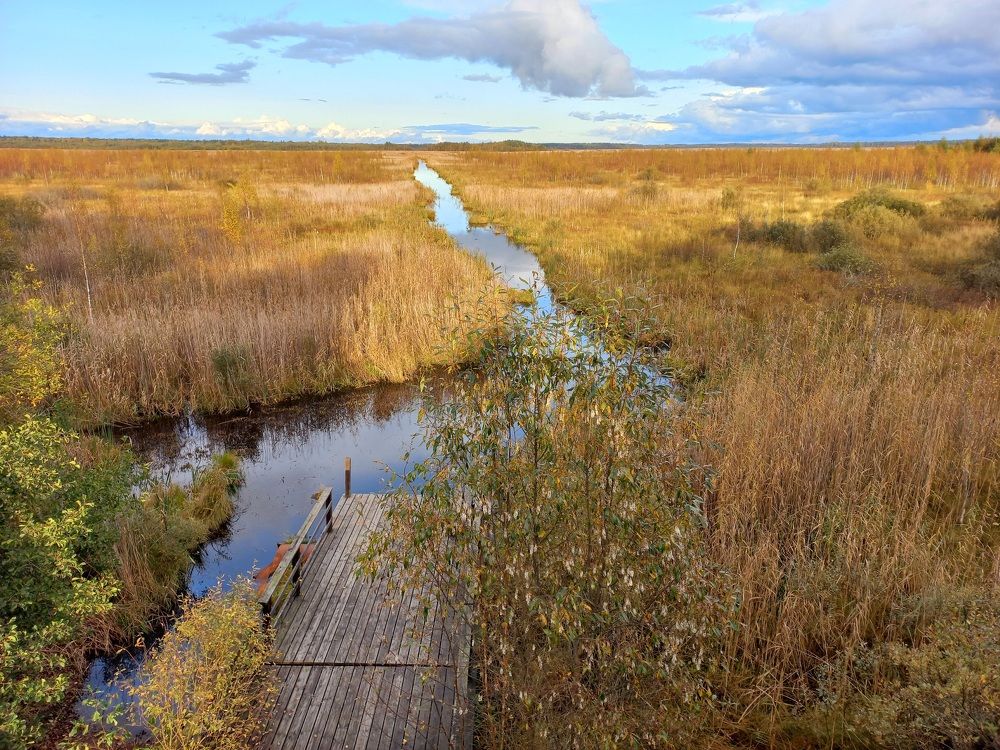 Photograph by Любовь