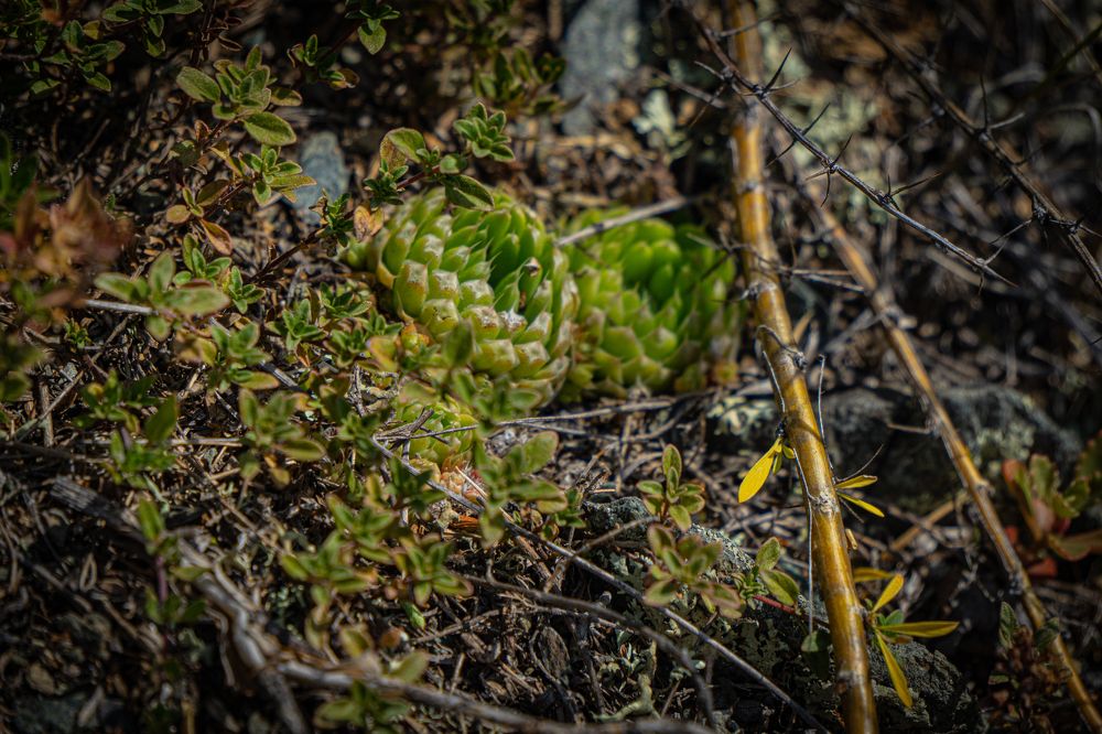 Фотография автора Андрей Шитиков
