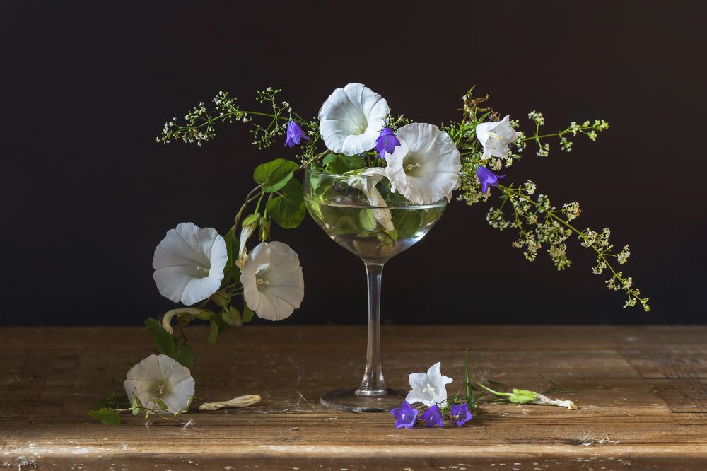 Фотография автора Uljana Kuchar