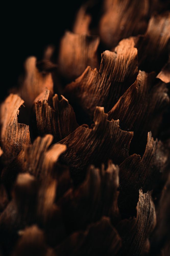 Photograph by дмитрий игнатов