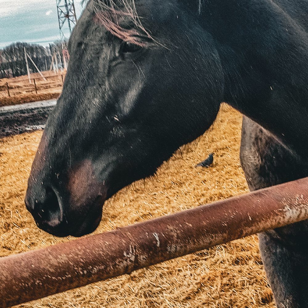 Фотография автора Нина Зинченко