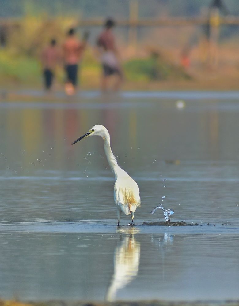 Photograph by SAIKAT PAL