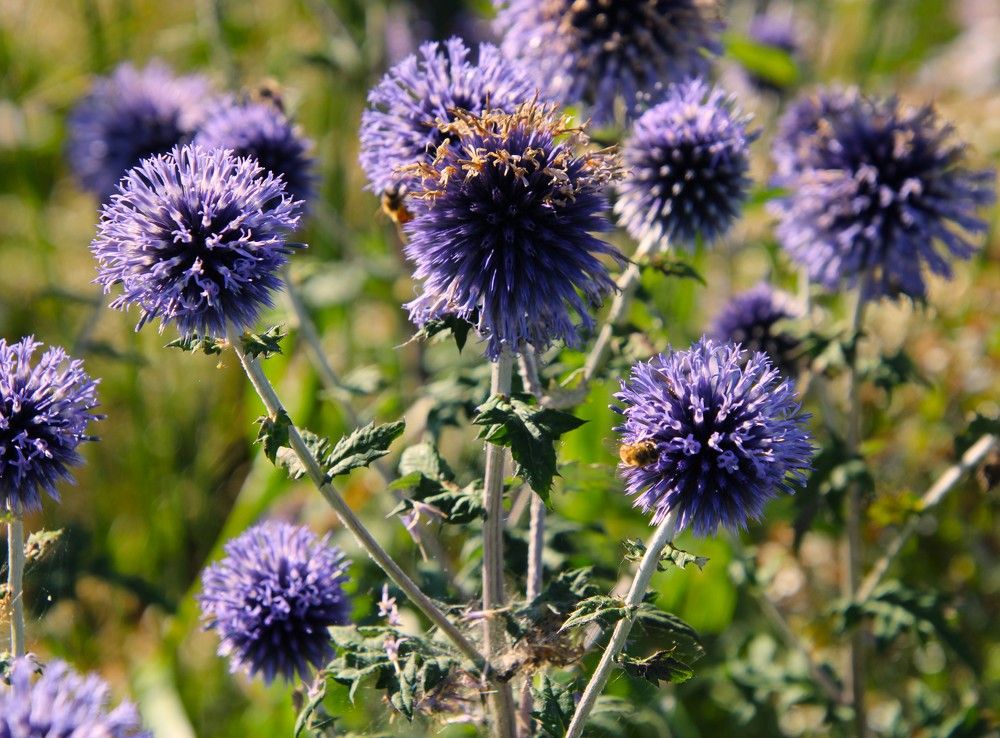 Photograph by Anna Baykova