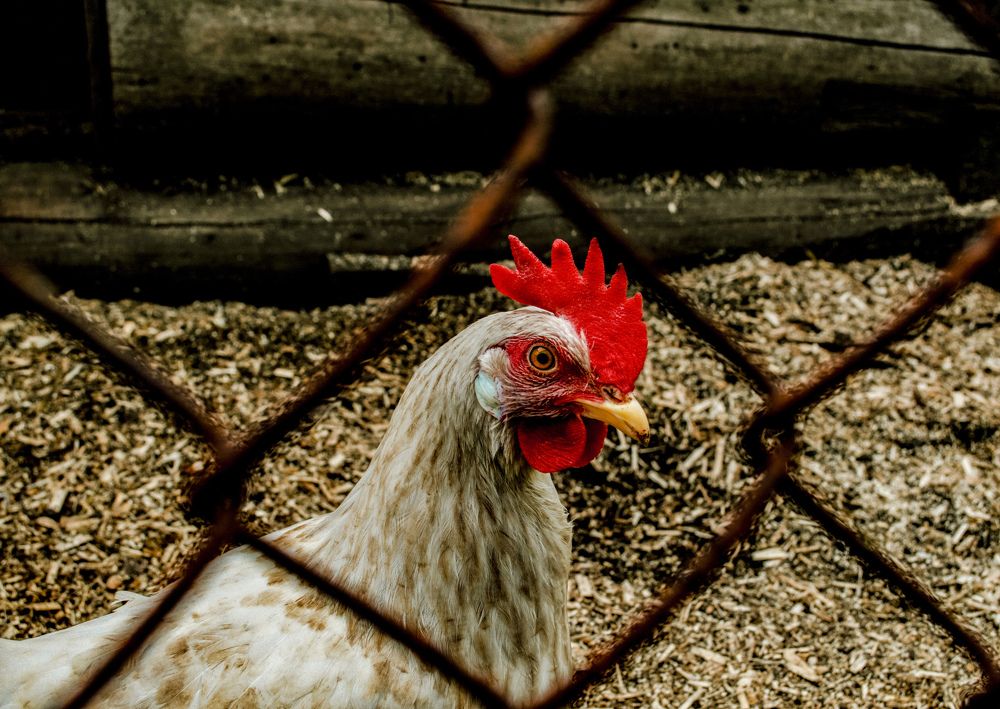 Photograph by Дмитрий Петров