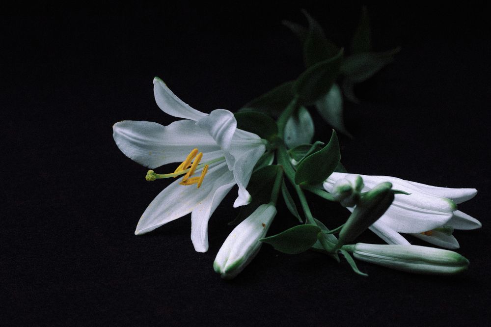 Фотография автора OXANA MARSOVA