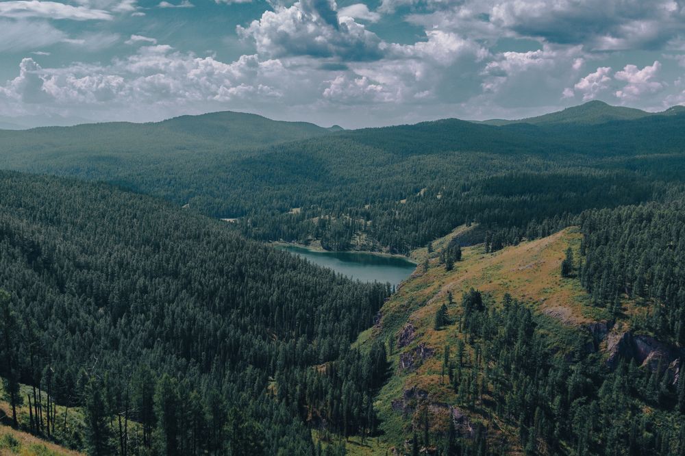 Фотография автора Андрей Шитиков
