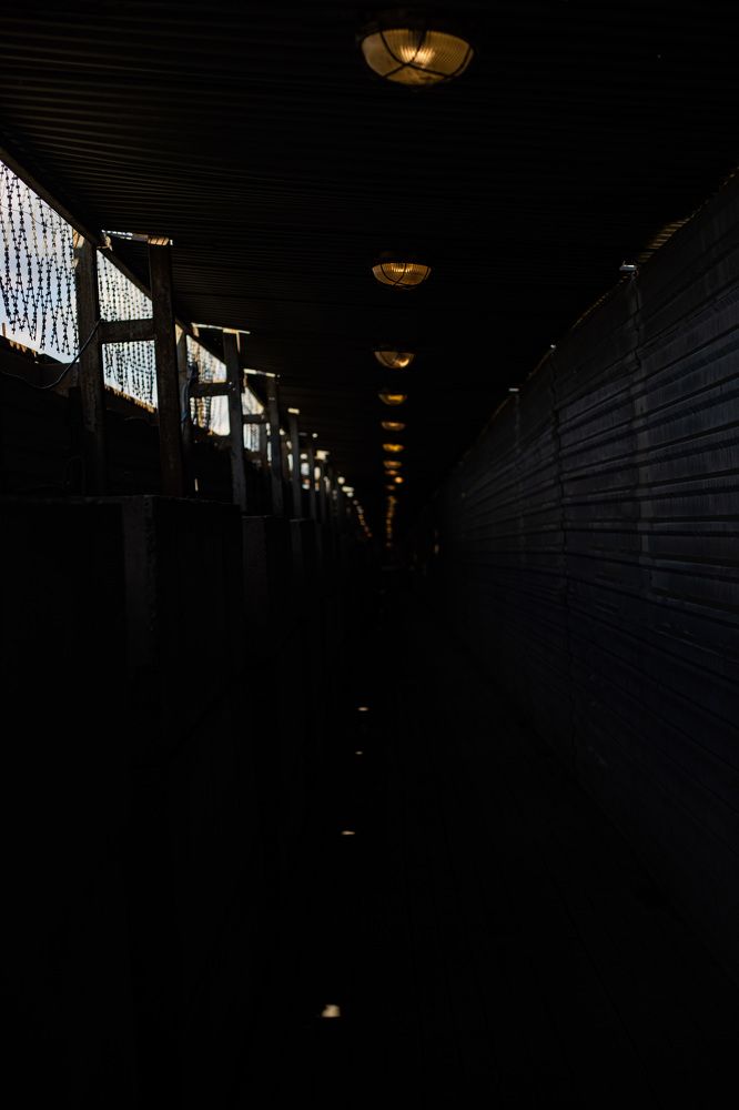 Photograph by Ольга Левакова