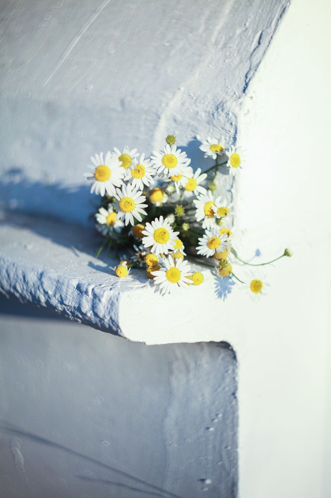 Photograph by Светлана Кавказская