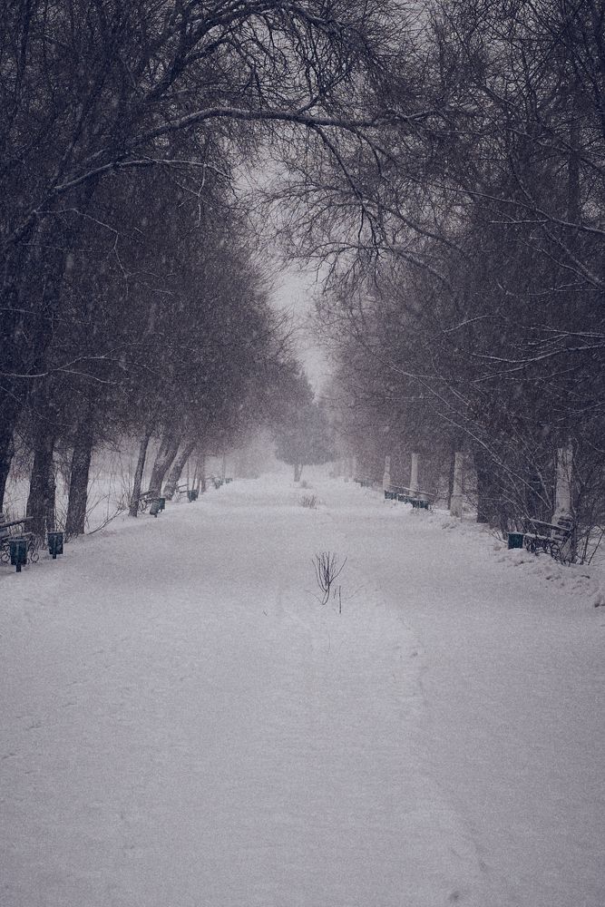 Фотография автора Дмитрий Кетов