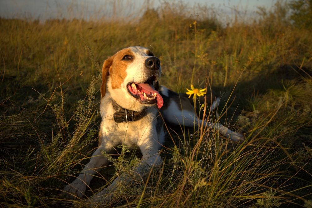 Photograph by ANDREY KISELYOV