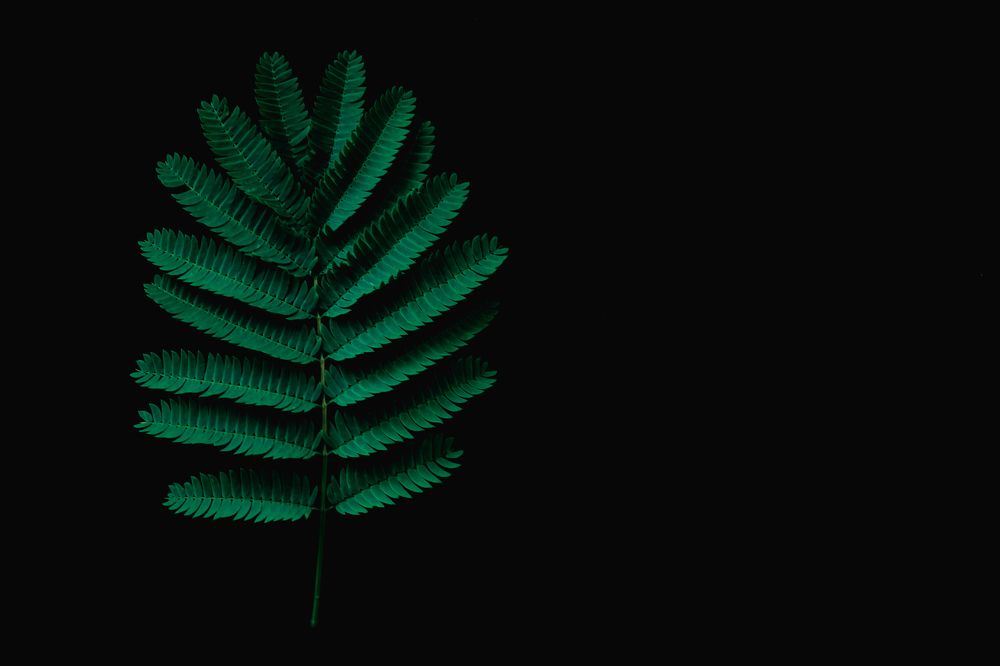 Фотография автора OXANA MARSOVA