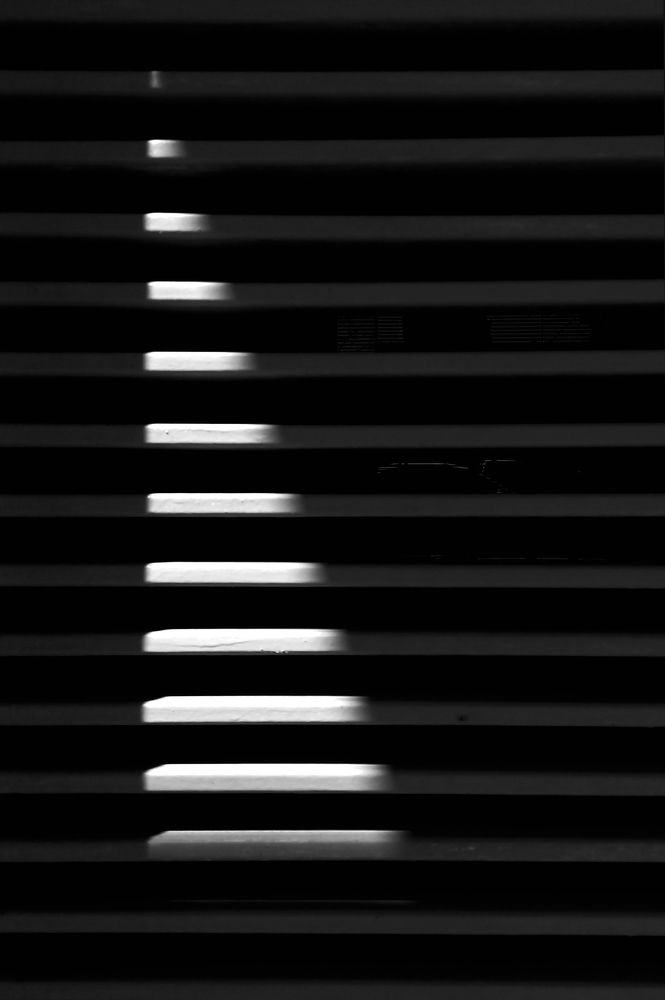 Photograph by GLEYDA GUTIÉREZ