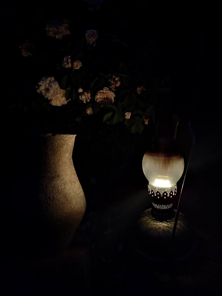 Photograph by Владимир Заборонок