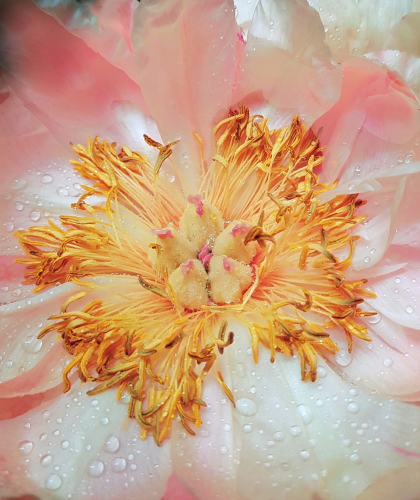 Photograph by Nataliya Kalinina