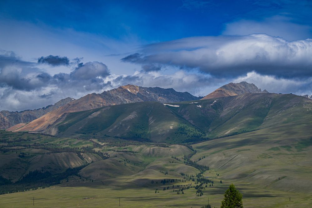 Фотография автора Андрей Шитиков