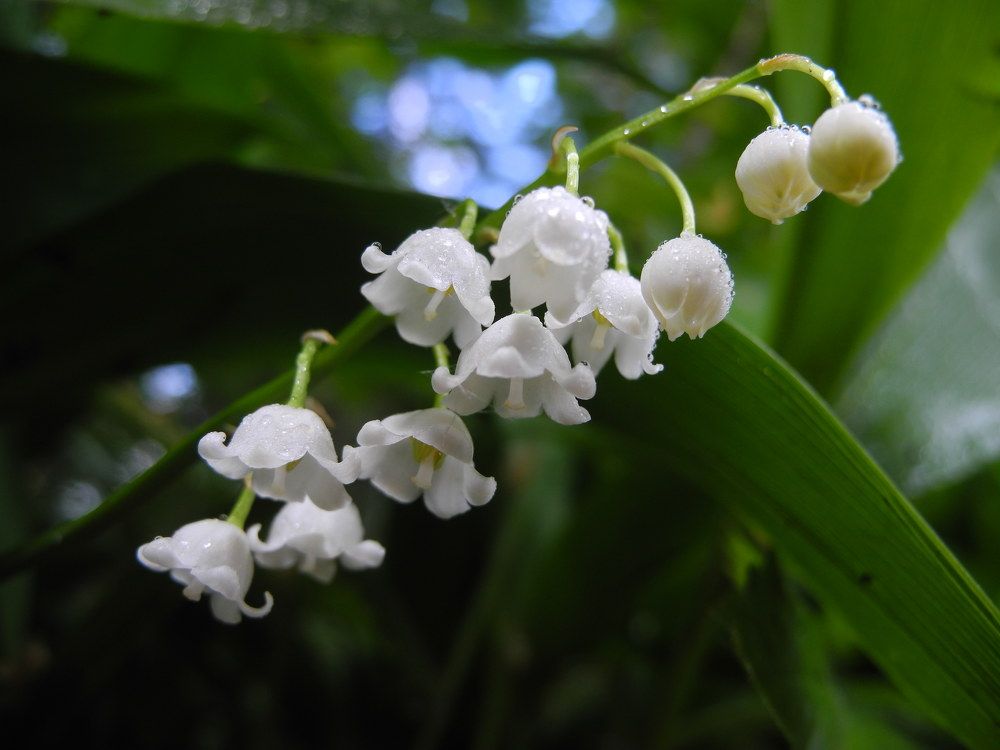 Photograph by Андрей Головин