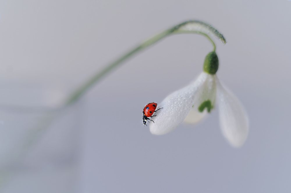 Photograph by Ольга Глазунова