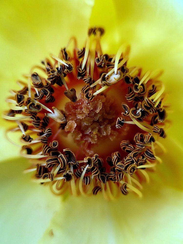 Photograph by Луиза Перегарова