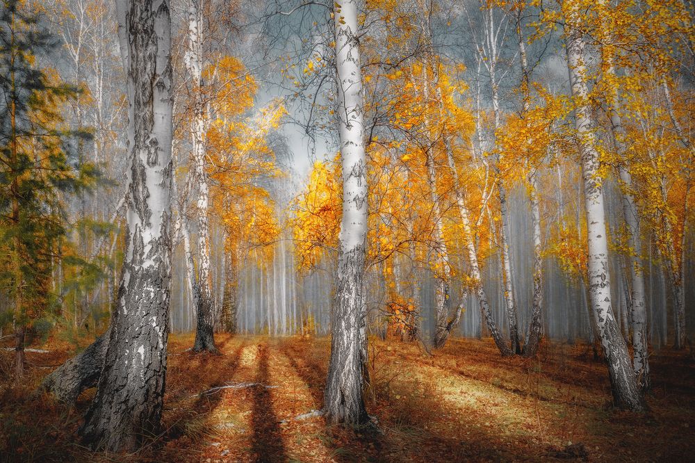 Photograph by Ivan Sazykin