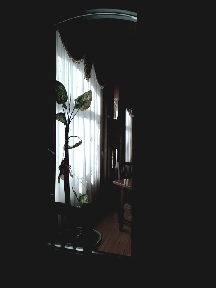 Фотография автора OXANA MARSOVA