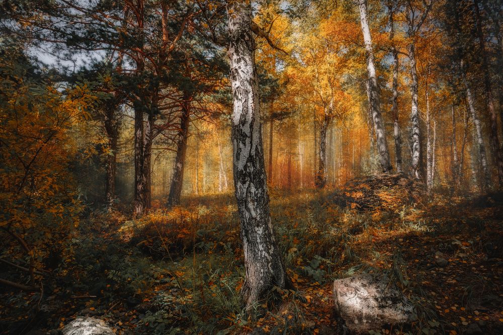 Photograph by Ivan Sazykin