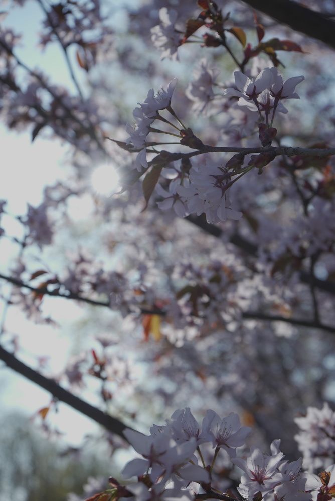 Photograph by Анна Марковская