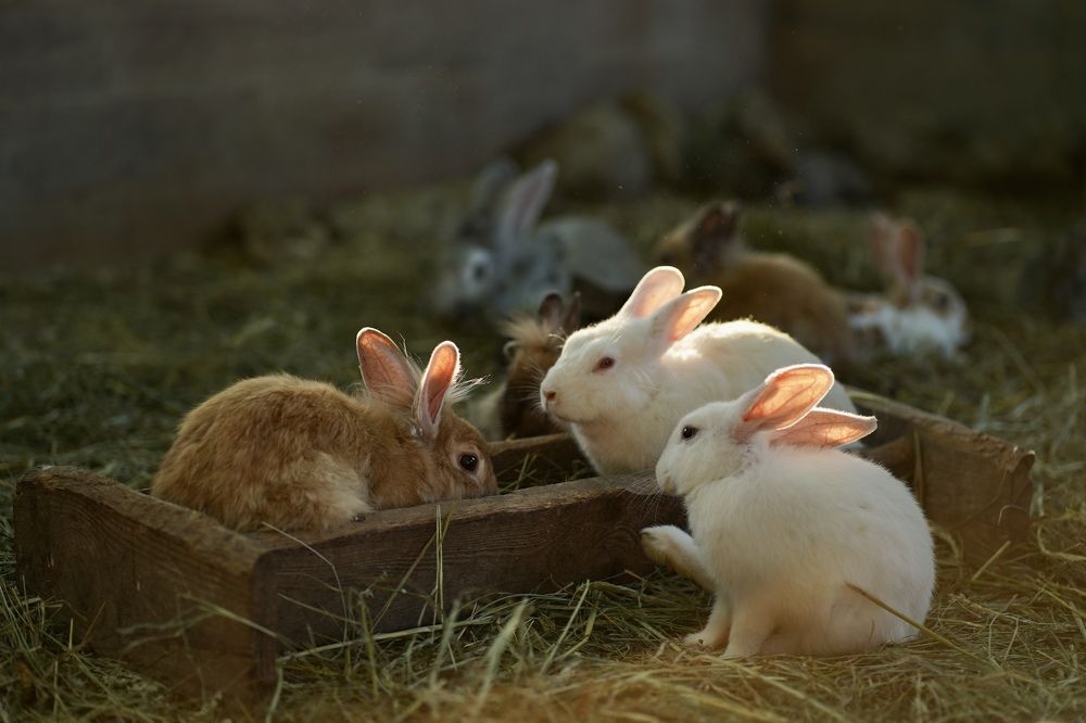 Photograph by Ольга Глазунова