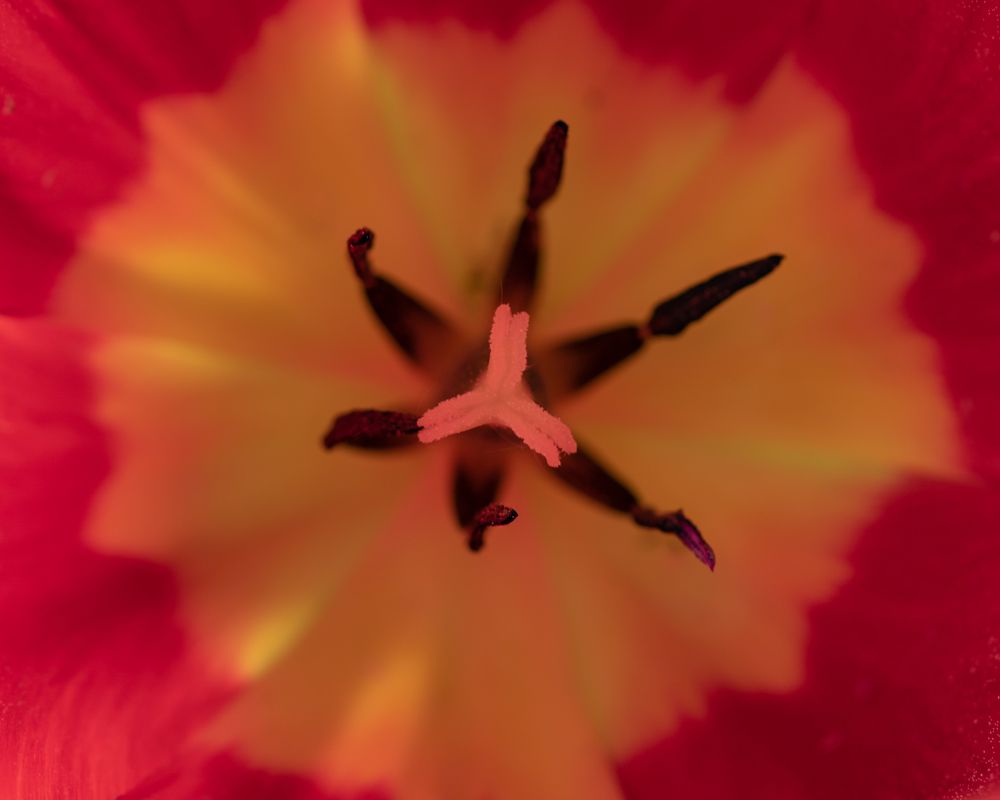 Photograph by 