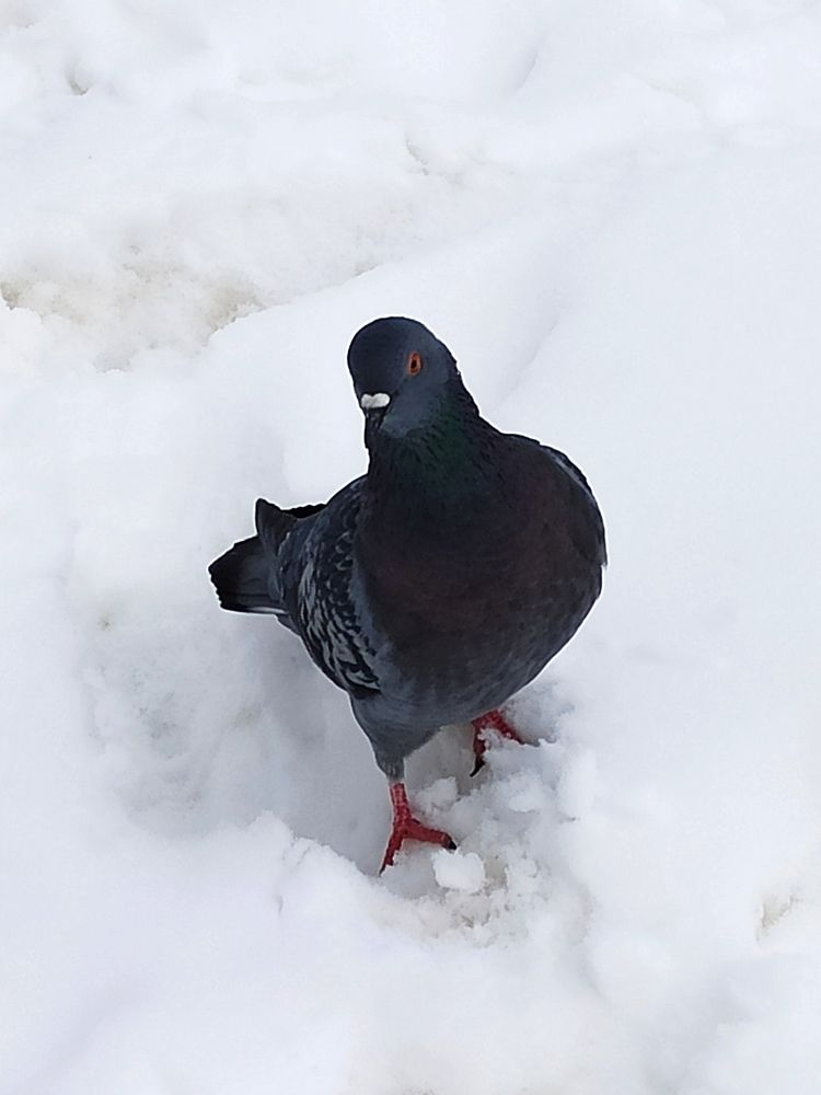 Photograph by Людмила Щуцкая