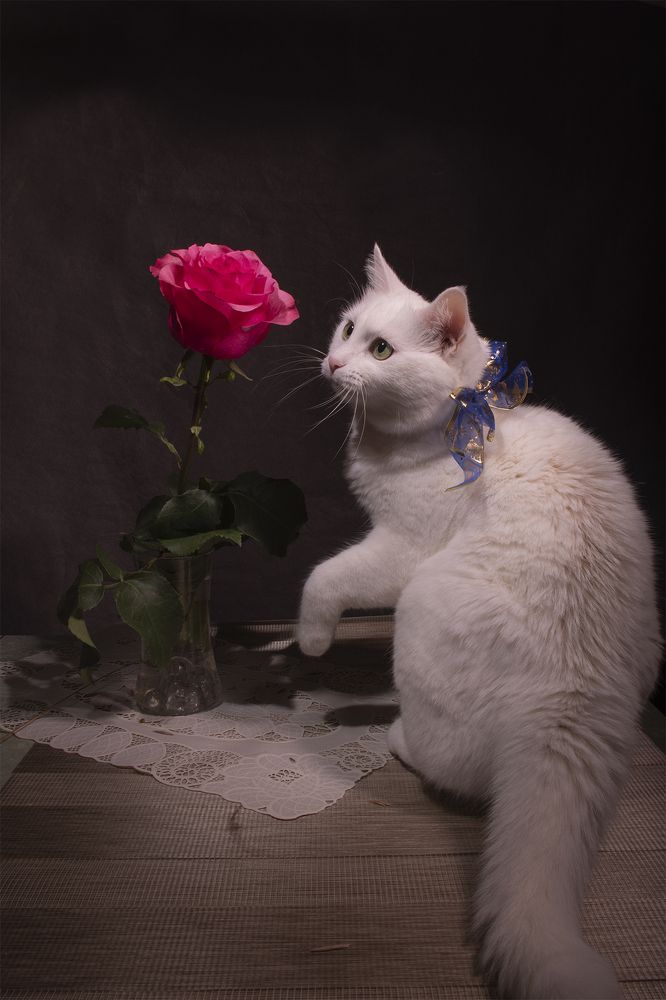 Photograph by Екатерина Бурикова