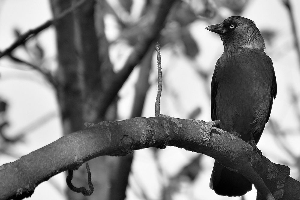 Photograph by Корнейчук Игорь