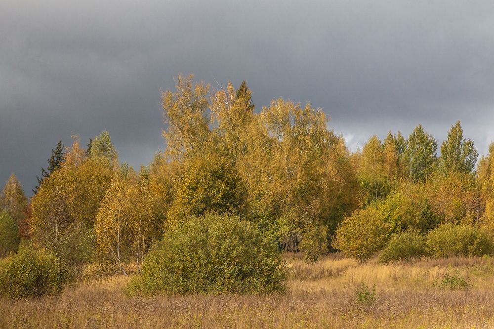 Время перемен