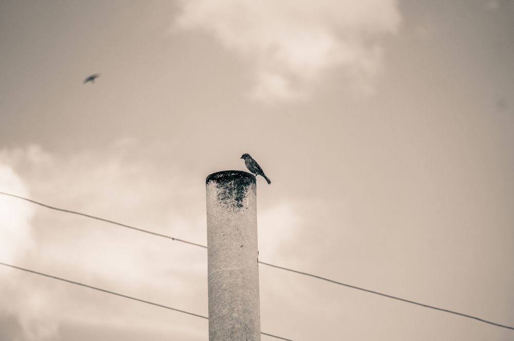 Photograph by Олег