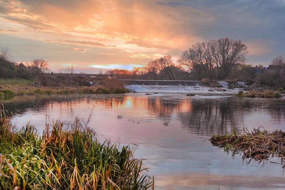 Photograph by Olga Mendosa