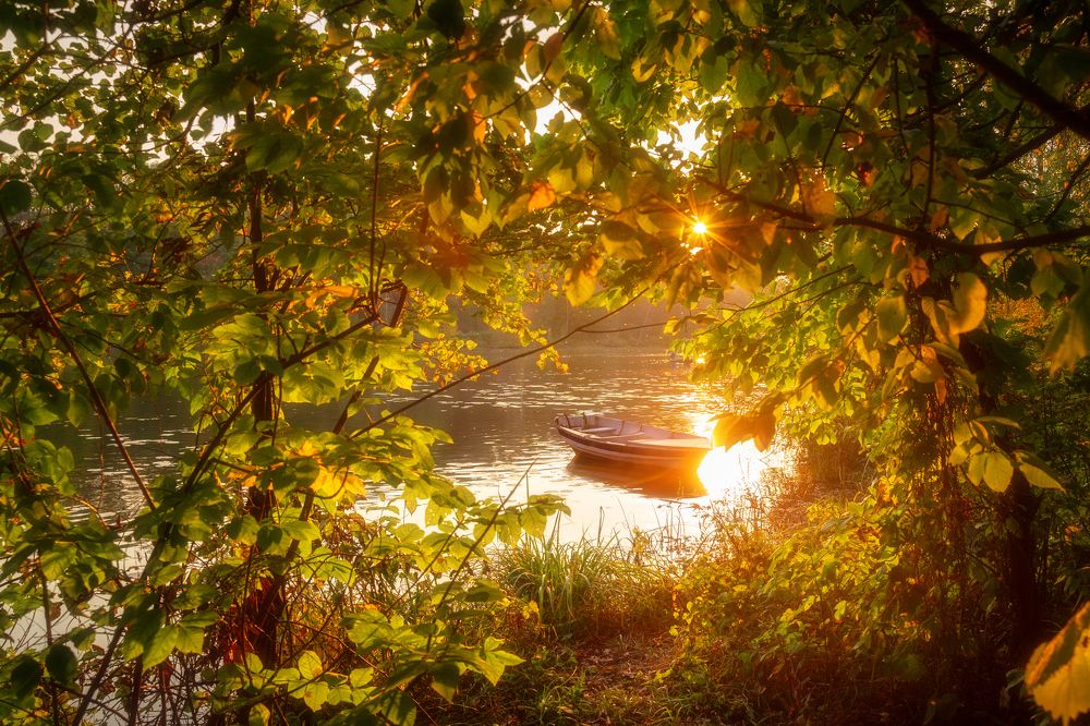 Photograph by Алена Устинович